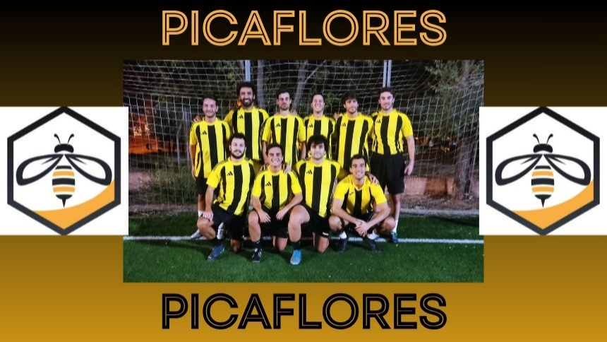 SOLO VICTORIAS. BARRIO DEL PILAR DIARIO 1ª DIVISIÓN